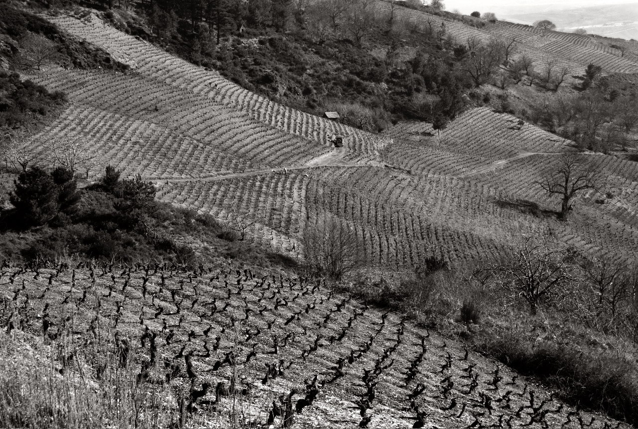 Alvaro Palacios – Grandes Vinos Clásicos
